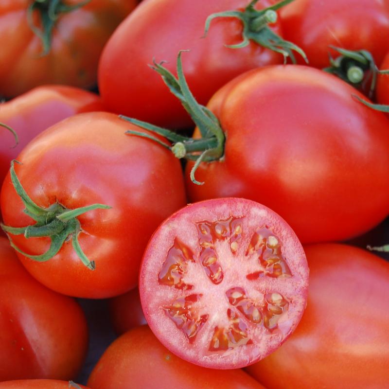 Lycopersicon esculentum 'Amish Paste' - Tomato - Image courtesy of Ball Horticultural Company